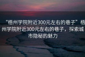 “梧州學(xué)院附近300元左右的巷子”梧州學(xué)院附近300元左右的巷子，探索城市隱秘的魅力