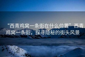 “西青雞窩一條街在什么位置”西青雞窩一條街，探尋隱秘的街頭風景