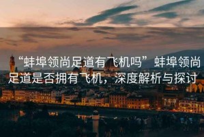 “蚌埠領(lǐng)尚足道有飛機(jī)嗎”蚌埠領(lǐng)尚足道是否擁有飛機(jī)，深度解析與探討