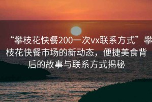 “攀枝花快餐200一次vx聯(lián)系方式”攀枝花快餐市場的新動態(tài)，便捷美食背后的故事與聯(lián)系方式揭秘
