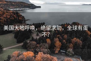 美國(guó)大地呼喚，絕望求助，全球有蛋不？