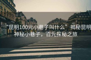 “昆明100元小巷子叫什么”揭秘昆明神秘小巷子，百元探秘之旅