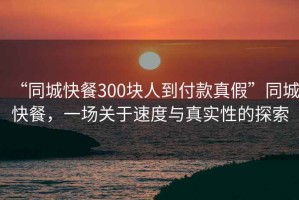 “同城快餐300塊人到付款真假”同城快餐，一場關于速度與真實性的探索
