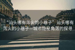“汕頭哪有瀉火的小巷子”汕頭哪有瀉火的小巷子—城市隱秘角落的探尋