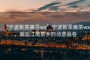“寧波新茶嫩茶wx”寧波新茶嫩茶wx，邂逅江南茶鄉(xiāng)的詩(shī)意畫(huà)卷