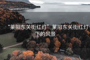 “萊陽東關(guān)街紅燈”萊陽東關(guān)街紅燈下的風(fēng)景