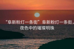“阜新粉燈一條街”阜新粉燈一條街，夜色中的璀璨明珠