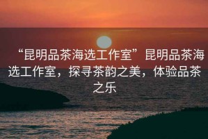 “昆明品茶海選工作室”昆明品茶海選工作室，探尋茶韻之美，體驗(yàn)品茶之樂