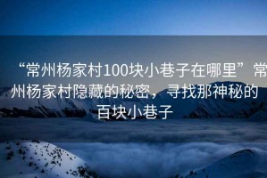 “常州楊家村100塊小巷子在哪里”常州楊家村隱藏的秘密，尋找那神秘的百塊小巷子