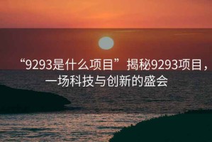 “9293是什么項目”揭秘9293項目，一場科技與創(chuàng)新的盛會
