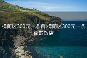 槐蔭區(qū)300元一條街:槐蔭區(qū)300元一條街的飯店