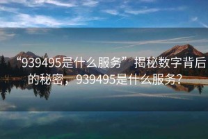 “939495是什么服務(wù)”揭秘?cái)?shù)字背后的秘密，939495是什么服務(wù)？