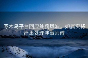 啄木鳥平臺(tái)回應(yīng)處罰風(fēng)波，如屬實(shí)將嚴(yán)肅處理涉事師傅
