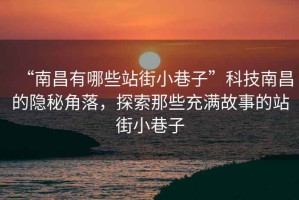 “南昌有哪些站街小巷子”科技南昌的隱秘角落，探索那些充滿故事的站街小巷子