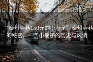 “泰州寺巷150元的小巷子”泰州寺巷的秘密，一條小巷子的歷史與風(fēng)情
