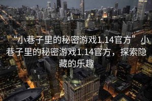 “小巷子里的秘密游戲1.14官方”小巷子里的秘密游戲1.14官方，探索隱藏的樂趣