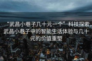 “武昌小巷子幾十元一個”科技探索，武昌小巷子中的智能生活體驗與幾十元的價值重塑