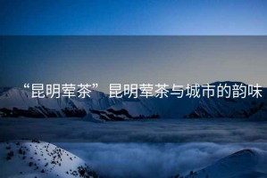 “昆明葷茶”昆明葷茶與城市的韻味
