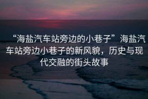 “海鹽汽車站旁邊的小巷子”海鹽汽車站旁邊小巷子的新風(fēng)貌，歷史與現(xiàn)代交融的街頭故事