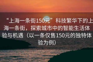 “上海一條街150元”科技繁華下的上海一條街，探索城市中的智能生活體驗(yàn)與機(jī)遇（以一條僅售150元的獨(dú)特體驗(yàn)為例）