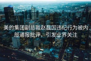 美的集團(tuán)副總裁趙磊因違紀(jì)行為被內(nèi)部通報(bào)批評(píng)，引發(fā)業(yè)界關(guān)注