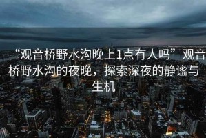 “觀音橋野水溝晚上1點(diǎn)有人嗎”觀音橋野水溝的夜晚，探索深夜的靜謐與生機(jī)
