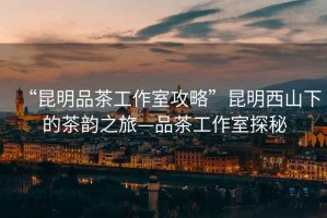 “昆明品茶工作室攻略”昆明西山下的茶韻之旅—品茶工作室探秘