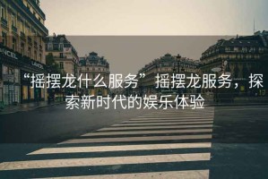 “搖擺龍什么服務(wù)”搖擺龍服務(wù)，探索新時(shí)代的娛樂體驗(yàn)