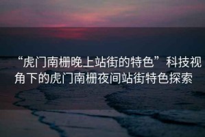 “虎門南柵晚上站街的特色”科技視角下的虎門南柵夜間站街特色探索