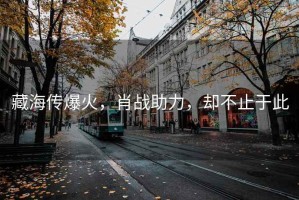 藏海傳爆火，肖戰(zhàn)助力，卻不止于此