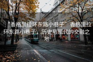 “香格里拉環(huán)東路小巷子”香格里拉環(huán)東路小巷子，歷史與現(xiàn)代的交融之地