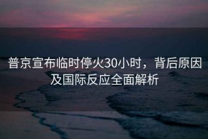 普京宣布臨時?；?0小時，背后原因及國際反應(yīng)全面解析
