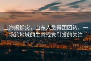 上海鬧蟬災，山東人急得團團轉，一場跨地域的生態(tài)現(xiàn)象引發(fā)的關注