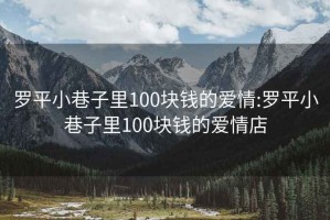 羅平小巷子里100塊錢的愛(ài)情:羅平小巷子里100塊錢的愛(ài)情店