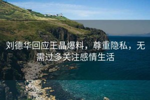 劉德華回應(yīng)王晶爆料，尊重隱私，無需過多關(guān)注感情生活
