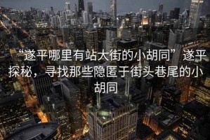 “遂平哪里有站大街的小胡同”遂平探秘，尋找那些隱匿于街頭巷尾的小胡同