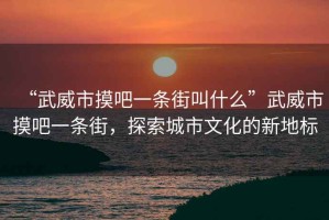 “武威市摸吧一條街叫什么”武威市摸吧一條街，探索城市文化的新地標(biāo)