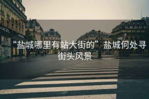 “鹽城哪里有站大街的”鹽城何處尋街頭風(fēng)景