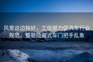 風(fēng)景這邊獨(dú)好，工信部力促汽車行業(yè)規(guī)范，整頓隱藏式車門把手亂象