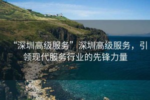 “深圳高級服務(wù)”深圳高級服務(wù)，引領(lǐng)現(xiàn)代服務(wù)行業(yè)的先鋒力量