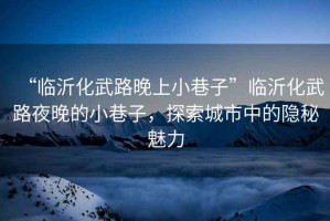“臨沂化武路晚上小巷子”臨沂化武路夜晚的小巷子，探索城市中的隱秘魅力