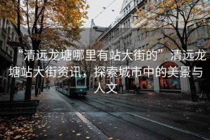 “清遠(yuǎn)龍?zhí)聊睦镉姓敬蠼值摹鼻暹h(yuǎn)龍?zhí)琳敬蠼仲Y訊，探索城市中的美景與人文