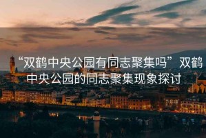 “雙鶴中央公園有同志聚集嗎”雙鶴中央公園的同志聚集現(xiàn)象探討