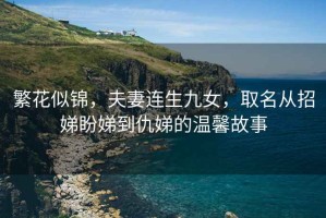 繁花似錦，夫妻連生九女，取名從招娣盼娣到仇娣的溫馨故事