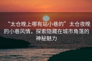 “太倉(cāng)晚上哪有站小巷的”太倉(cāng)夜晚的小巷風(fēng)情，探索隱藏在城市角落的神秘魅力