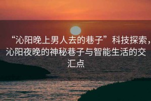 “沁陽晚上男人去的巷子”科技探索，沁陽夜晚的神秘巷子與智能生活的交匯點(diǎn)