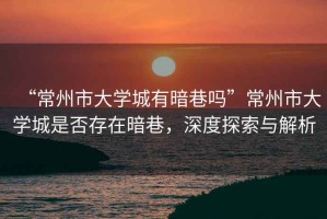 “常州市大學(xué)城有暗巷嗎”常州市大學(xué)城是否存在暗巷，深度探索與解析