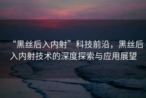 “黑絲后入內(nèi)射”科技前沿，黑絲后入內(nèi)射技術(shù)的深度探索與應(yīng)用展望