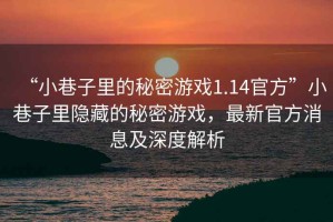 “小巷子里的秘密游戲1.14官方”小巷子里隱藏的秘密游戲，最新官方消息及深度解析