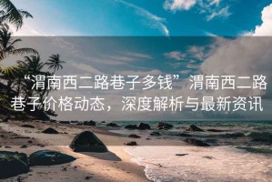 “渭南西二路巷子多錢”渭南西二路巷子價格動態(tài)，深度解析與最新資訊